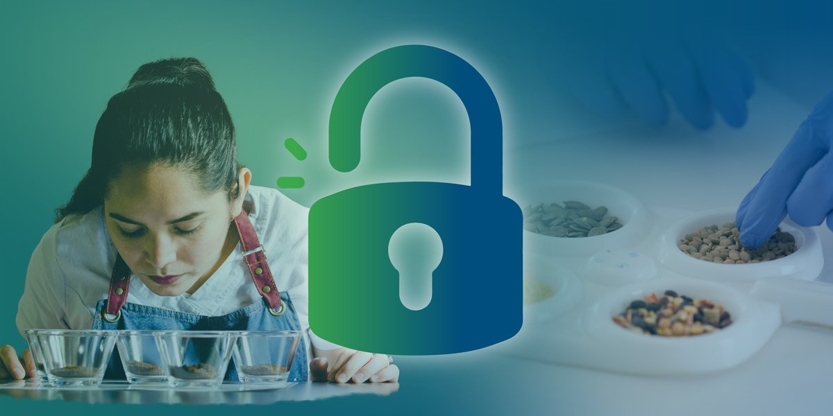 Exploring Gruit Beer Flavor Profiles and Sensory Experiences